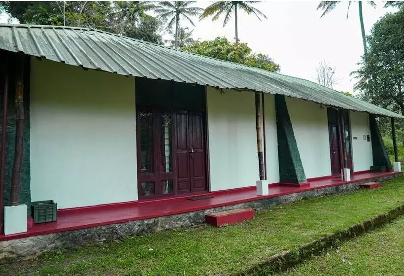ホテル Punarjani Ayurvedic Resorts