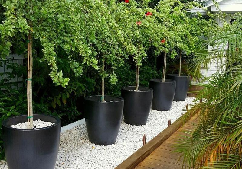 The Saint Hotel Key West, Autograph Collection, Adult Only