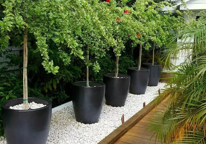 The Saint Hotel Key West, Autograph Collection, Adult Only