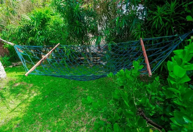 פנסיון Palitha Guesthouse Hotel Dandelion