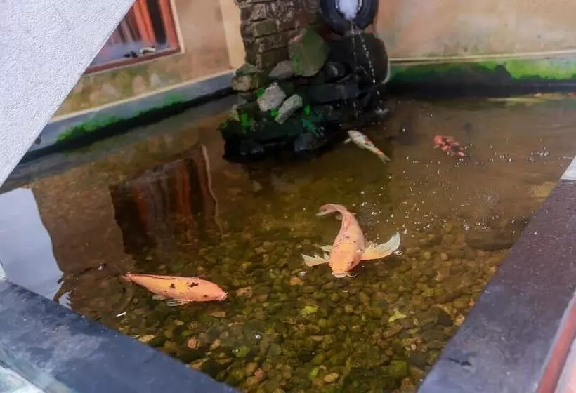 פנסיון Palitha Guesthouse Hotel Dandelion