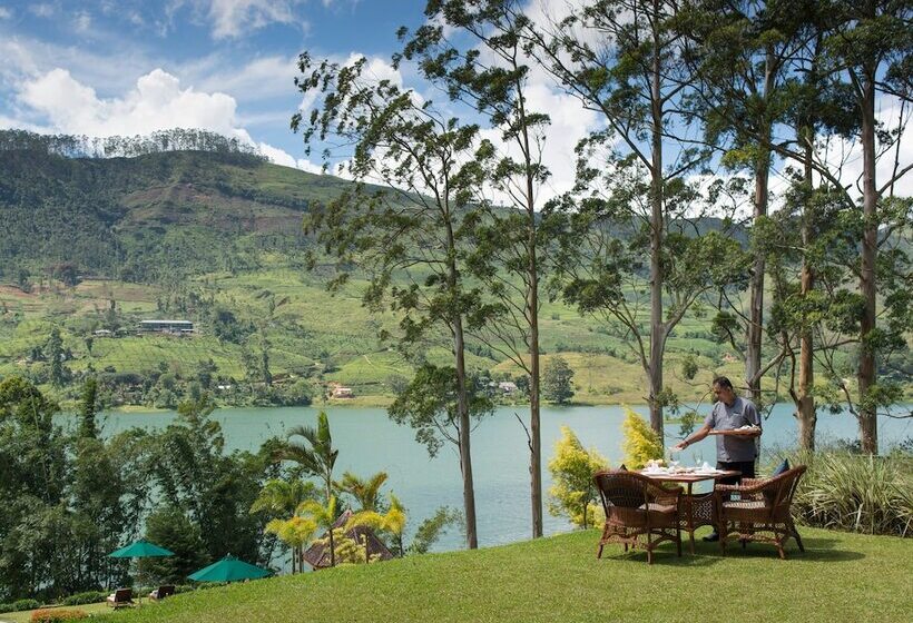 منتجع Ceylon Tea Trails   Relais And Chateaux