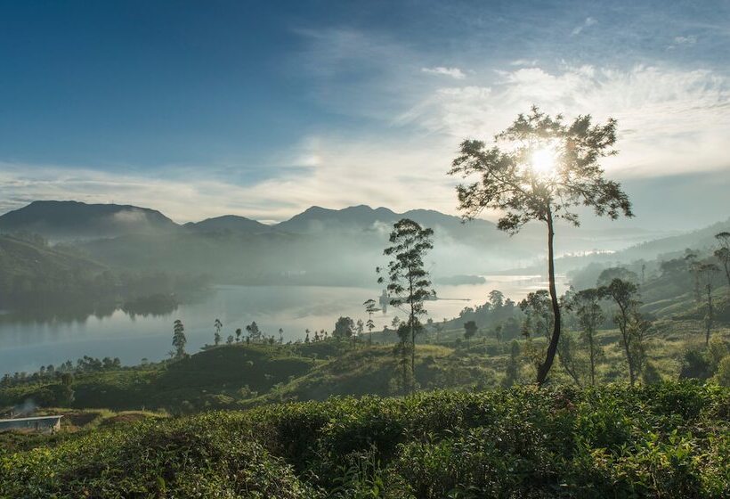 منتجع Ceylon Tea Trails   Relais And Chateaux