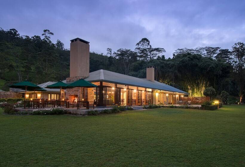 منتجع Ceylon Tea Trails   Relais And Chateaux