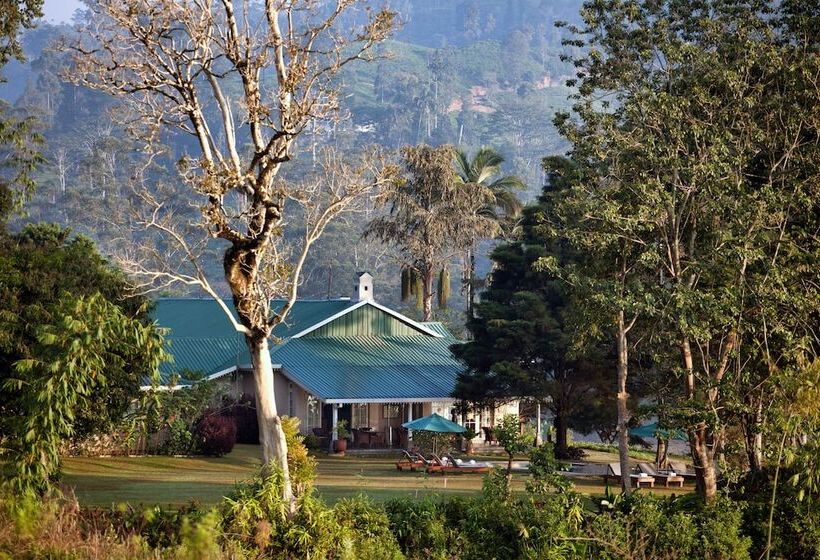 منتجع Ceylon Tea Trails   Relais And Chateaux