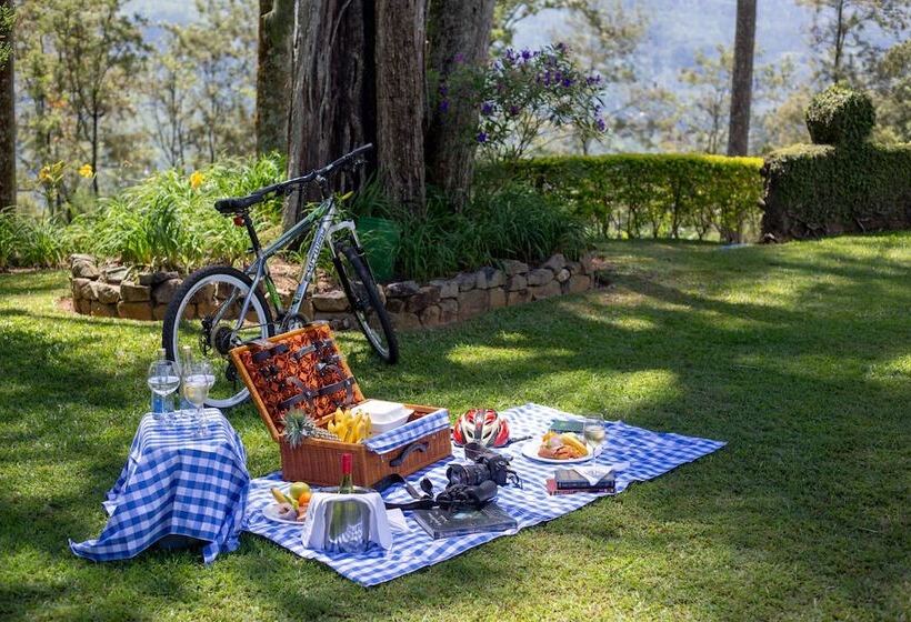 منتجع Ceylon Tea Trails   Relais And Chateaux