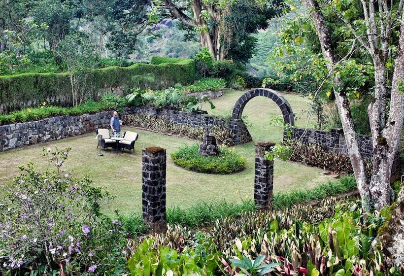 منتجع Ceylon Tea Trails   Relais And Chateaux