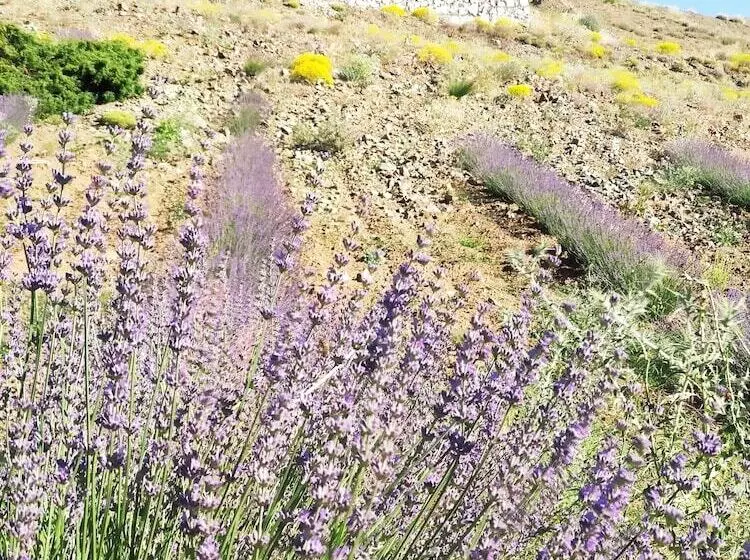 Beyaz Adalar Atlihan Apart Otel