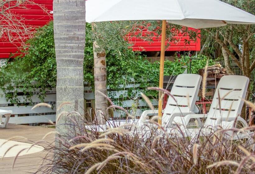 Bon Amour Punta Del Diablo