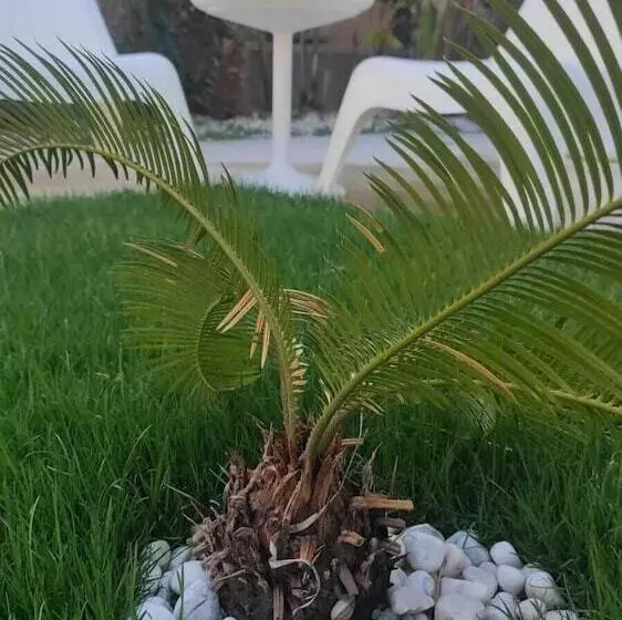 Cesme Marina Sahil Otel