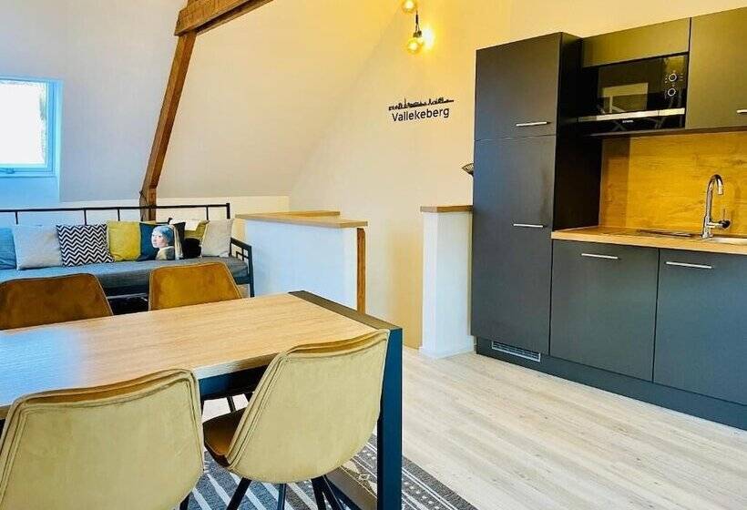 City2c Valkenburg Grendelplein