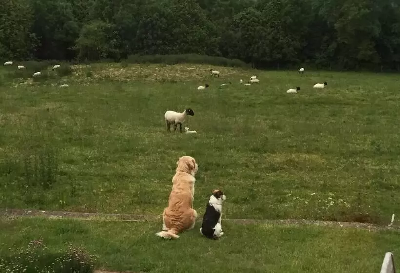 Courtyard Cottage   Adults Only