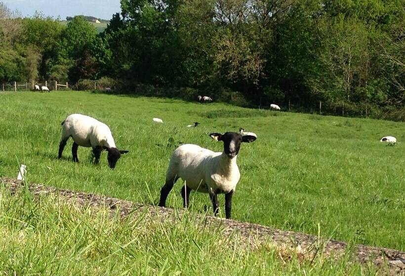 Courtyard Cottage Adults Only