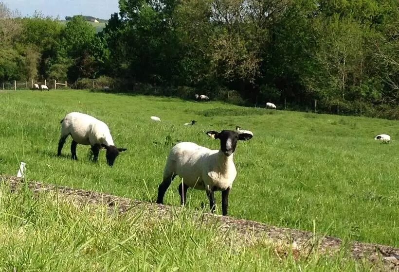 Courtyard Cottage   Adults Only