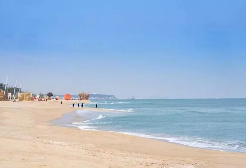 Gangneung Nine One Dog Pension