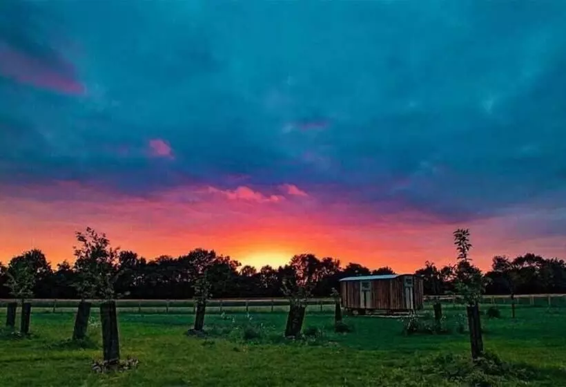Honeysuckle Farm Hut 6   Suffolk Farm Holidays