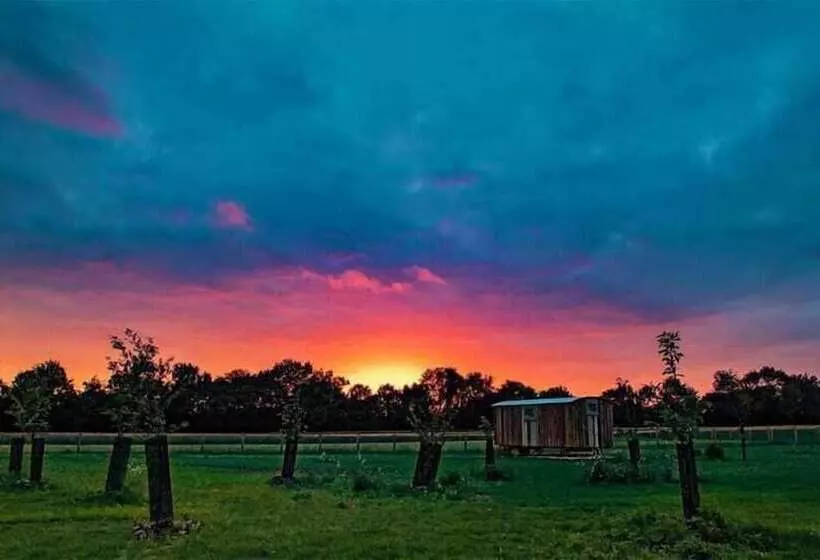Honeysuckle Farm Hut 6   Suffolk Farm Holidays
