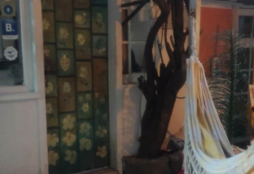 Хостел Pousada Surf Coruja