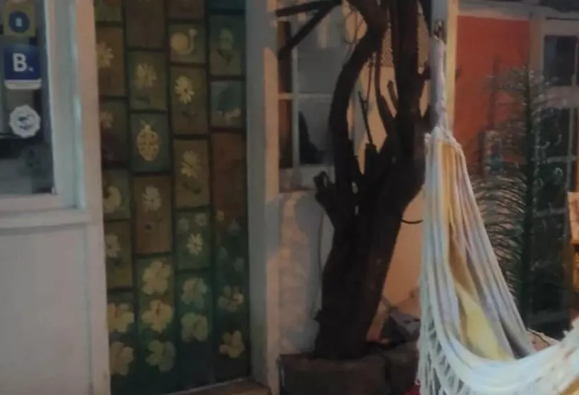 Hostelli Pousada Surf Coruja