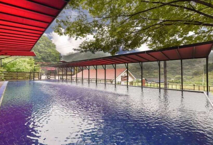 Miryang Genie S Magic Lamp Pension Lamp