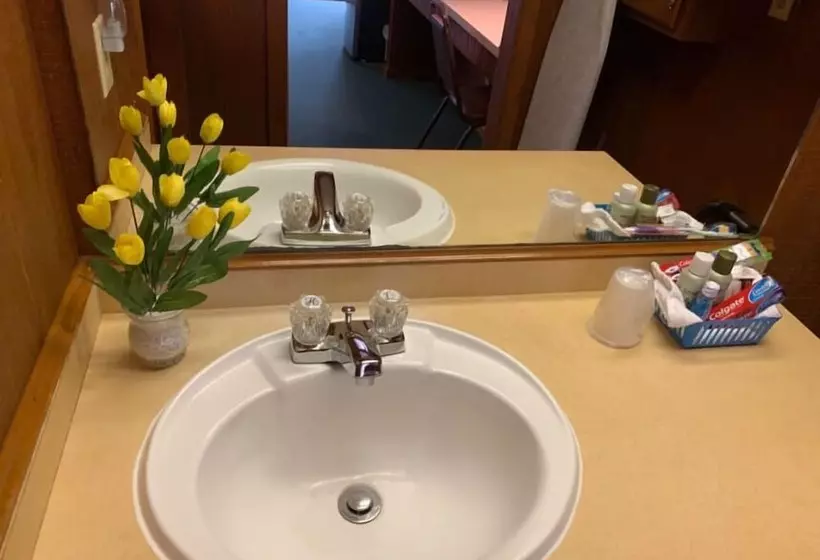 モーテル Sabinal Inn