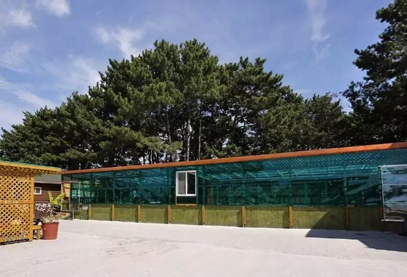 ペンション Boryeong Hiddenvillage Dokchae Poolvilla