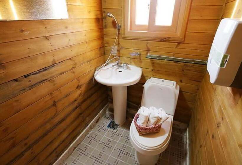 Pension (Hôtel basse catégorie) Boryeong Hiddenvillage Dokchae Poolvilla