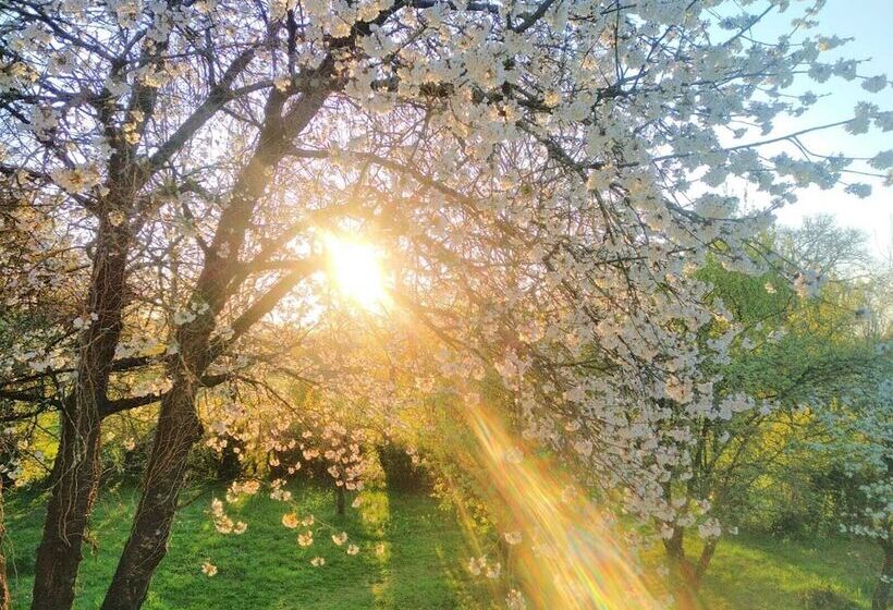 بنسيون Chambres Des Lunes