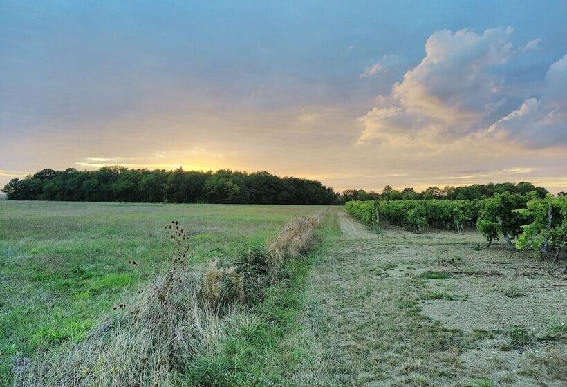 بنسيون Chambres Des Lunes