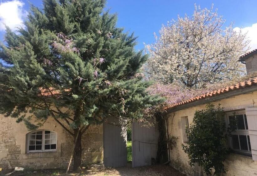 بنسيون Chambres Des Lunes