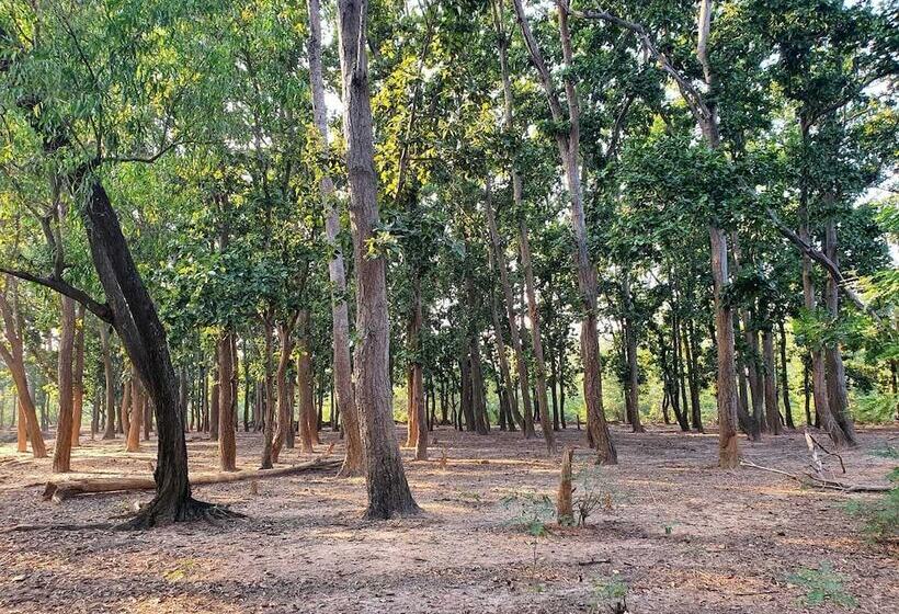 פנסיון Park Guest House