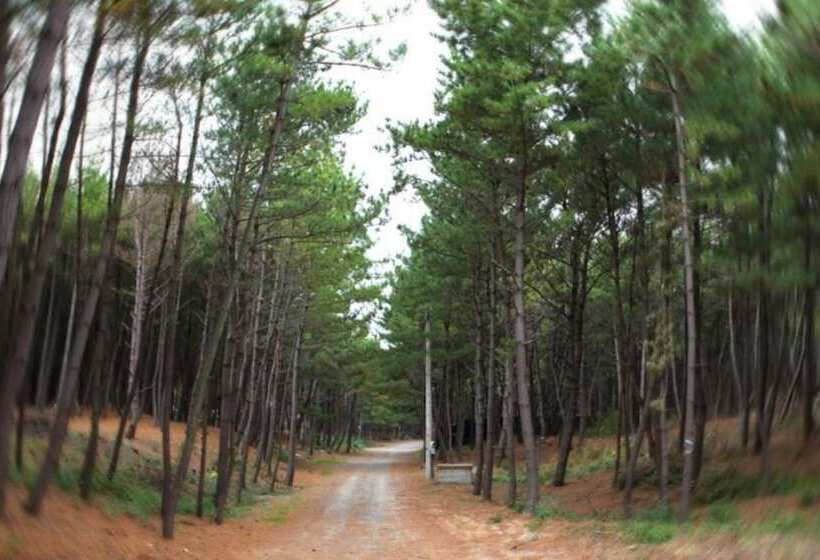 Taean Full Of Flower Scent Pension