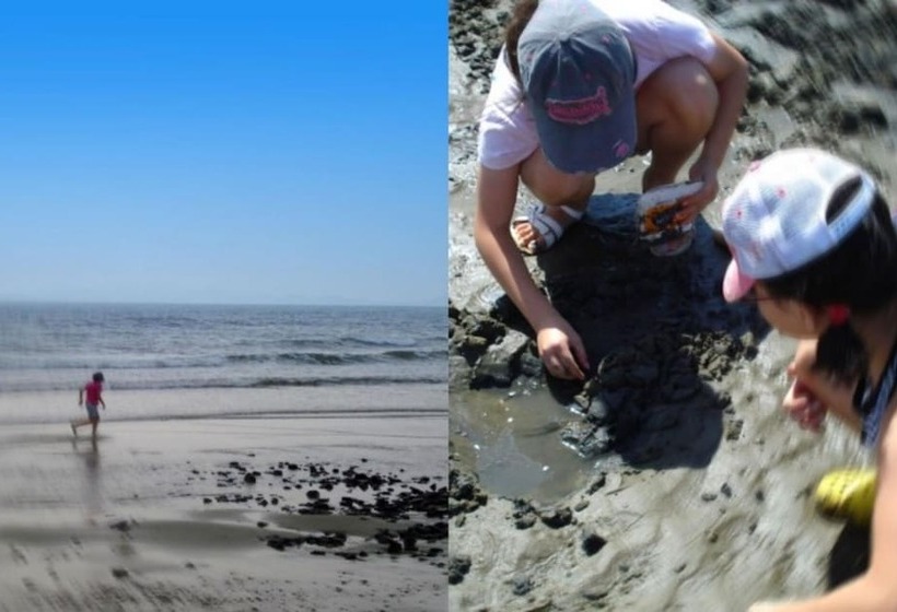 Taean Full Of Flower Scent Pension