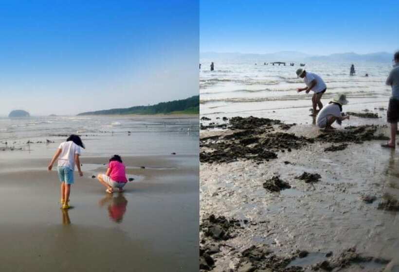 Taean Full Of Flower Scent Pension