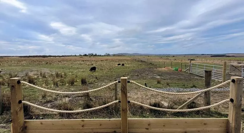Achmeney Glamping Pod Larger Than Average Pod