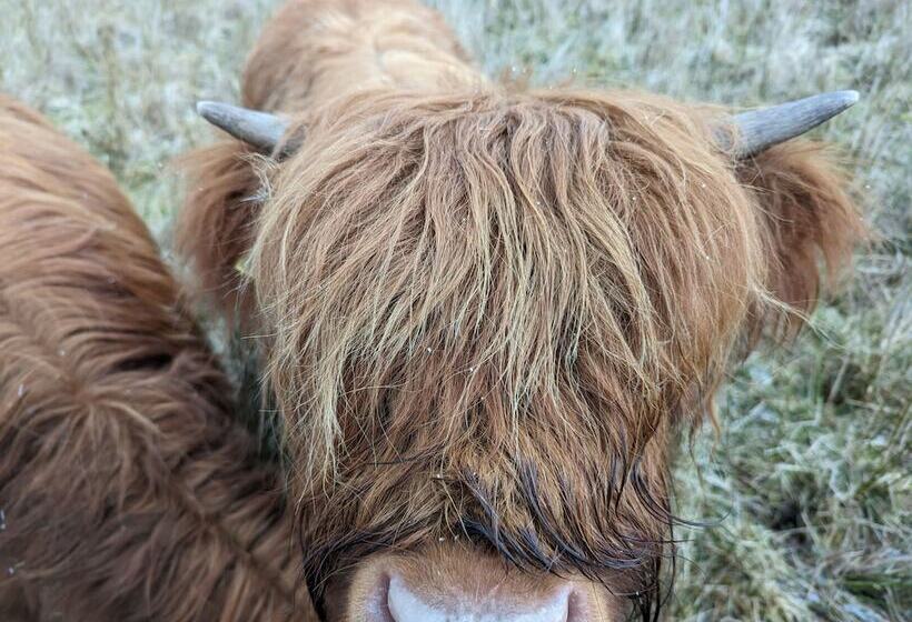 Achmeney Glamping Pod Larger Than Average Pod