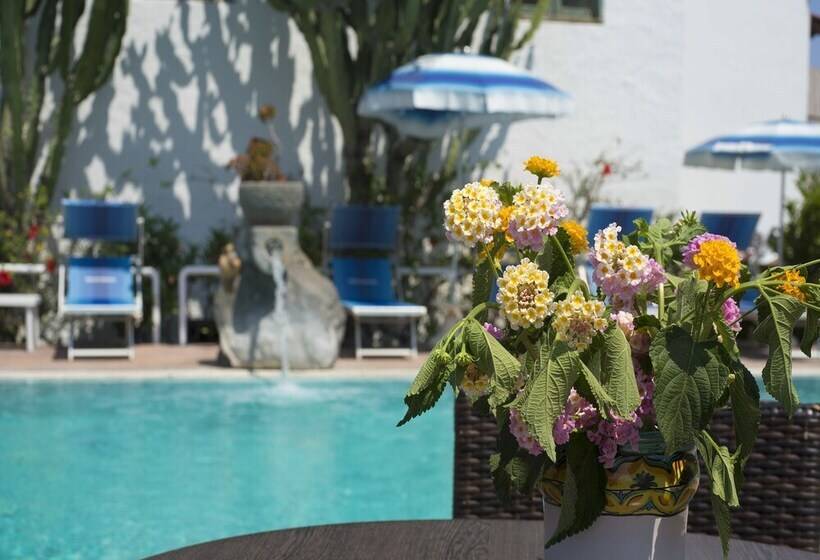 Bed and Breakfast Wellness And Relaxing Time In Ischia Per 16 People