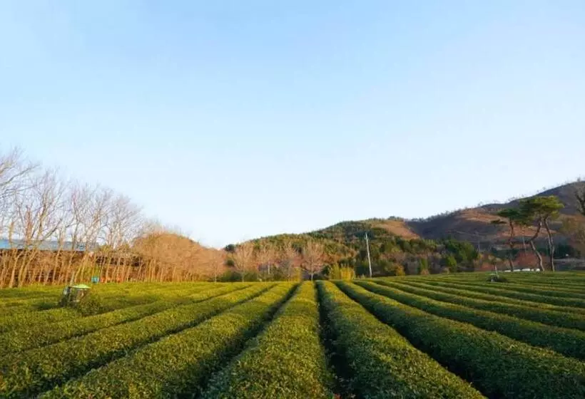 Boseong Carmel Royal Pension