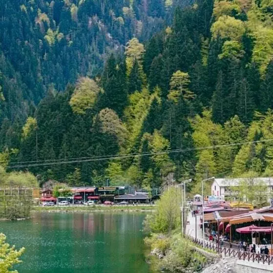 Dear Otel Uzungol