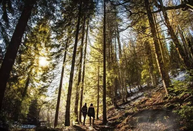 Hotelli 7 Pines Kasauli