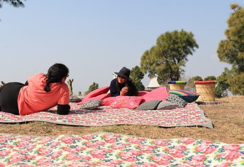 Hotel 7 Pines Kasauli