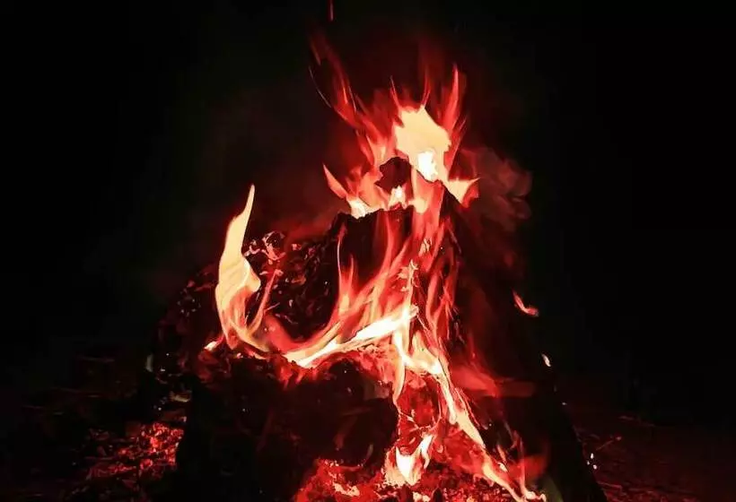 Hotelli 7 Pines Kasauli