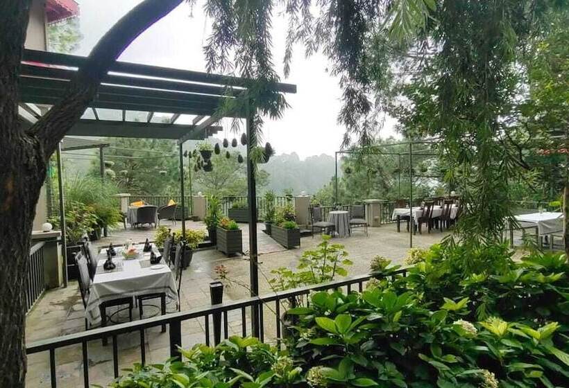 Hotel 7 Pines Kasauli
