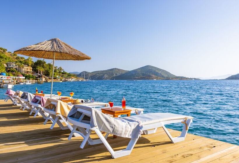 酒店 Almond Bungalow