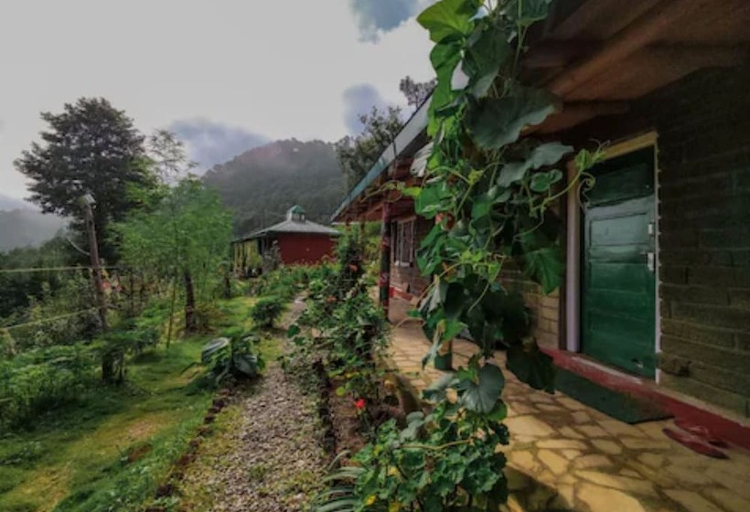 בית מלון כפרי Goroomgo Zen Oaks Homestay Café Almora