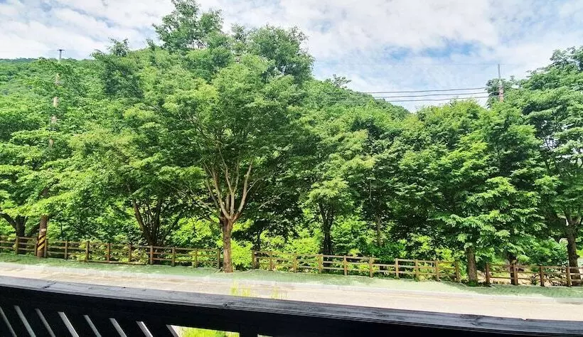 ホテル Jirisan Yeonriji Pension