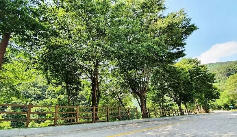 ホテル Jirisan Yeonriji Pension