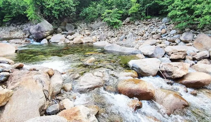 ホテル Jirisan Yeonriji Pension