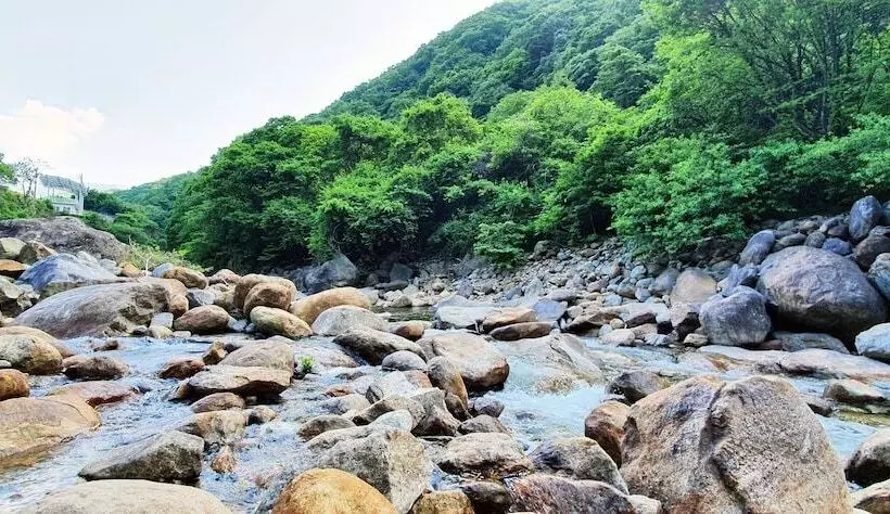 ホテル Jirisan Yeonriji Pension