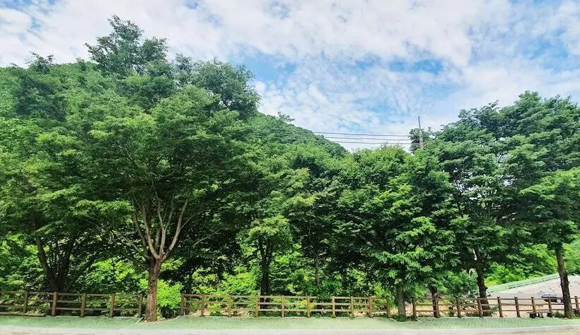 ホテル Jirisan Yeonriji Pension